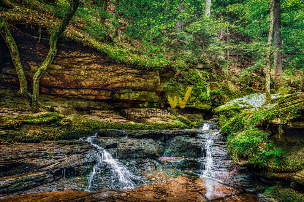 In der Monbachtalschlucht im Schwarzwald | Das Bild zeigt die wildromantische Monbachschlucht im Nordschwarzwald. Die Schlucht liegt bei Bad Liebenzell und ist ein beliebtes Natur- und Landschaftsschutzgebiet. Der Weg führt entlang des Monbachs über schmale Pfade, umgestürzte Baumstämme und bemooste Felsbrocken. Besucher können hier glitzernde Bäche, wilde Felsformationen und eine urwüchsige Pflanzenwelt erleben.  - Realisiert mit Pictrs.com