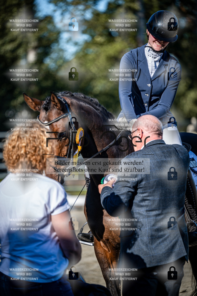 2026-09-Lohne-11-0001 | Entdecke hochwertige Reitturnierfotos von Foto Oger. Professionell, emotional und authentisch – jetzt Lieblingsmomente im Shop bestellen.Deutschlandweite Turnierfotografie. - Realisiert mit Pictrs.com