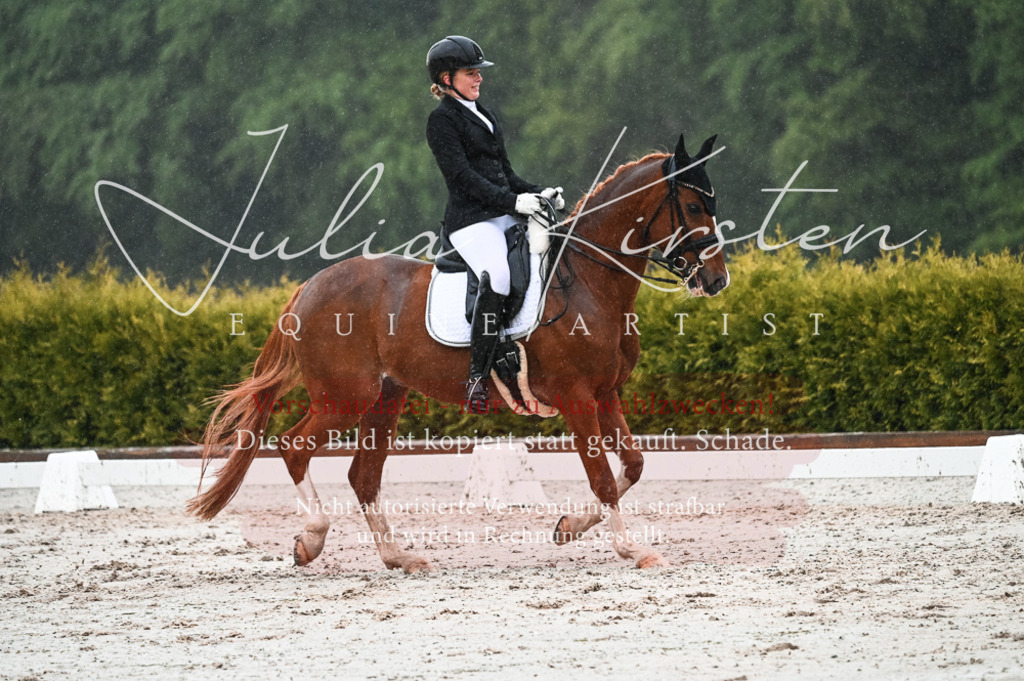 DSC_4620 | Pferde- und Turnierfotografie in Westsachsen. Pferdeportraits, Auftragszeichnungen und intuitive Kunst.