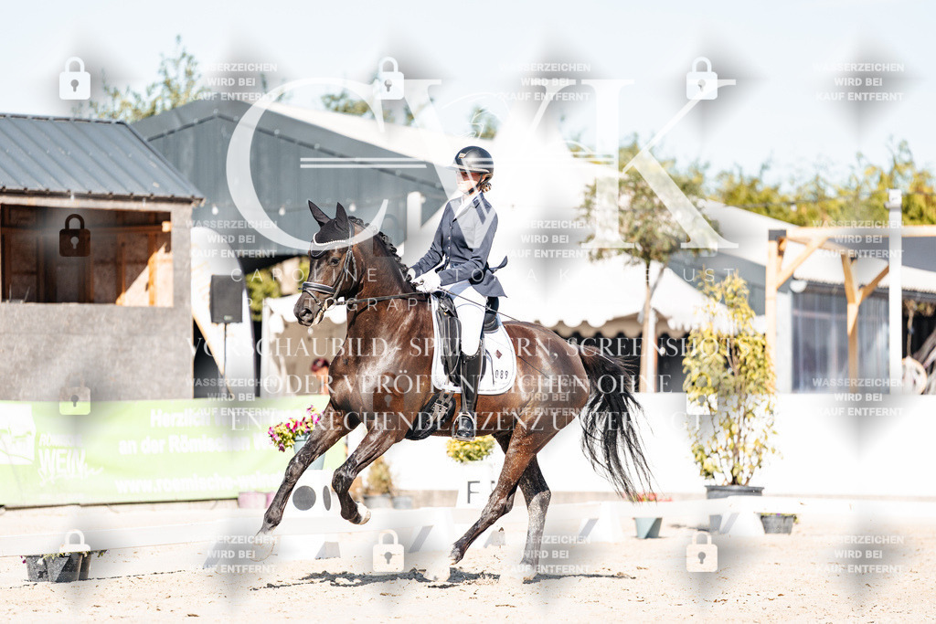 CK907830 | Turnierfotografie Pferdefotografie Trier Rheinland-Pfalz Pferdesport Reitsport Tierfotografie Sportfotografie Pferdevideo Pferdevideografie Equestrianvideography equestrianphotography  - Realisiert mit Pictrs.com