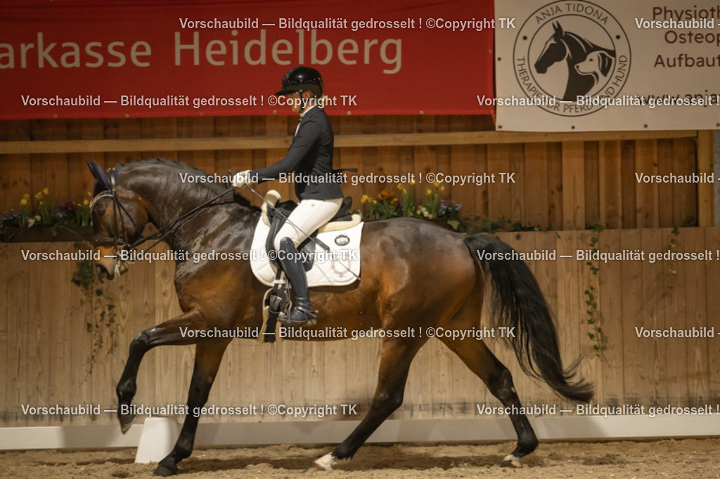 _D5A4050 | Emotionale Pferde- & People-Fotografie rund um Heidelberg, Leimen & Umgebung. Natürliche Fotos von Pferd, Mensch & Familie. Jetzt Termin sichern!