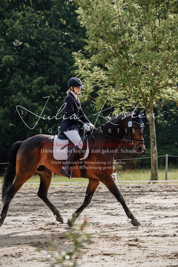 DSC_8721 | Pferde- und Turnierfotografie in Westsachsen. Pferdeportraits, Auftragszeichnungen und intuitive Kunst.