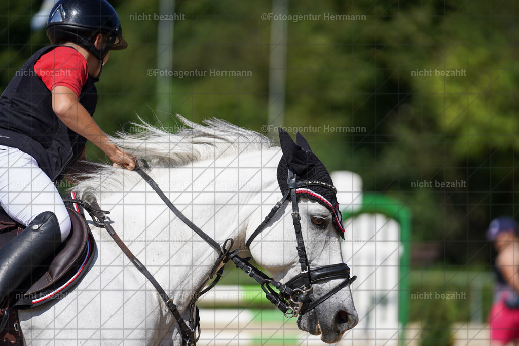 20240824-FAH08319 | Thierhaupten 2024, Bayerisches Landesponyturnier, Turnierbilder, Ponybilder, Turnierfotografen Bayern, Fotoagentur Herrmann