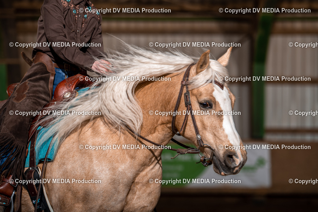 Balingen Tag 2-903 | dv-media-shop - Realisiert mit Pictrs.com