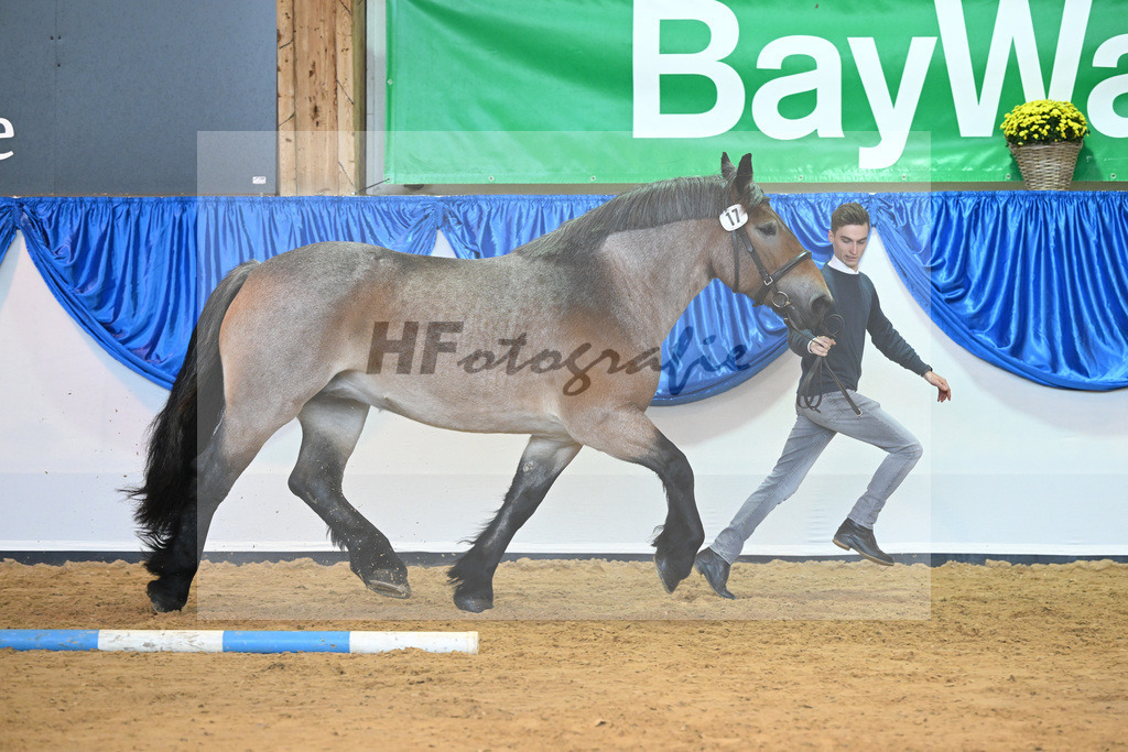 Kat-Nr. 17 Alma_ZG Meyer zu Huecker_53221031 | hf-fotografie - Realizzato con Pictrs.com