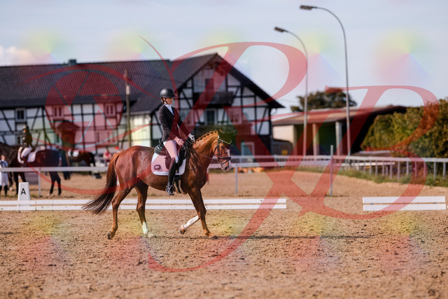 2026_10_03_Siefer-Hof_133153_Z81_87160857 | Professionelle Reitsport-, Turnier- und Eventfotografie von Robert Broda. Galerien mit ausgewählten und bearbeiteten Bildern direkt online ansehen und bestellen.