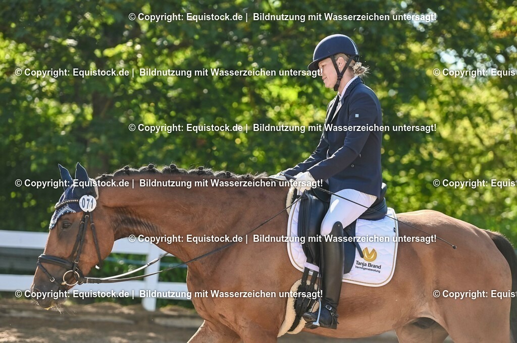 20230715_06_Dressurpferdeprfg. Kl.A_0225 | equistock