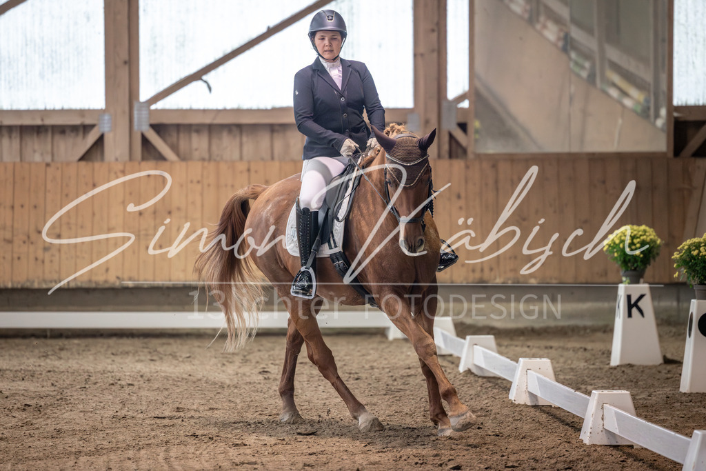 20251011-_3LI9555 | Tierfotografie Pferde, Hunde, Katzen, Haustiere.
Turnierfotografie Reitturniere, Reiten, Springreiten, Dressur in Hanau, dem Main-Kinzig-Kreis und dem Rhein-Main- Gebiet um Frankfurt