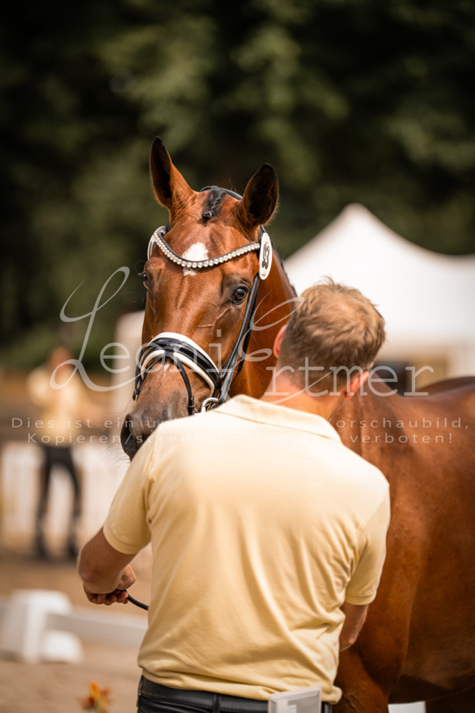 6.Fr00165 | Leoni Ertmer Photography - Realisiert mit Pictrs.com