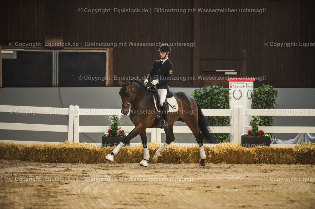 20240302_Hengstvorstellung_Marbach_TOMsPiC_0154-2 | equistock