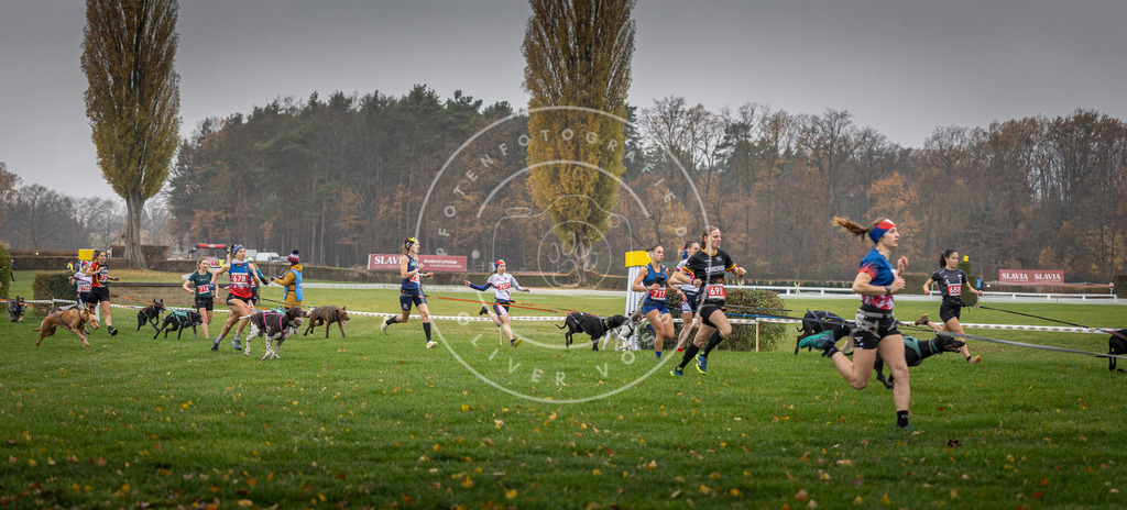 CaniXpix_DV3A8763 | Hundefotografie, Tierfotograf, Pfotenfotografie, Fotoshooting Hund, Hunde Portrait, Hundesport, Hundeportraits, Heideshooting, Hunde, Sportfotograf, Hundefotograf, Turnierhundsport, THS,  - Realisiert mit Pictrs.com