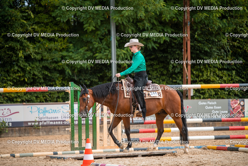 ZS2_7724 | dv-media-shop - Realisiert mit Pictrs.com