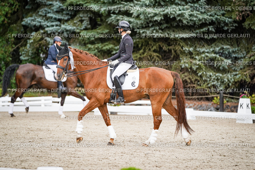 DSC00027 | Pferdegrafie