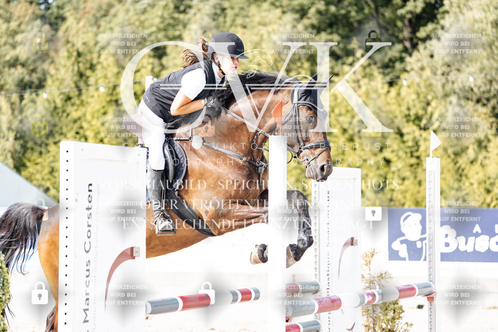 CK905872 | Turnierfotografie Pferdefotografie Trier Rheinland-Pfalz Pferdesport Reitsport Tierfotografie Sportfotografie Pferdevideo Pferdevideografie Equestrianvideography equestrianphotography  - Realisiert mit Pictrs.com