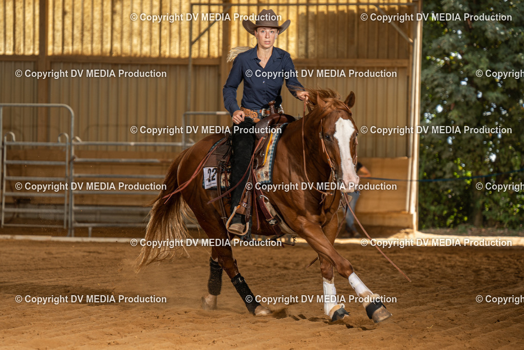 NID02166 | dv-media-shop - Realisiert mit Pictrs.com