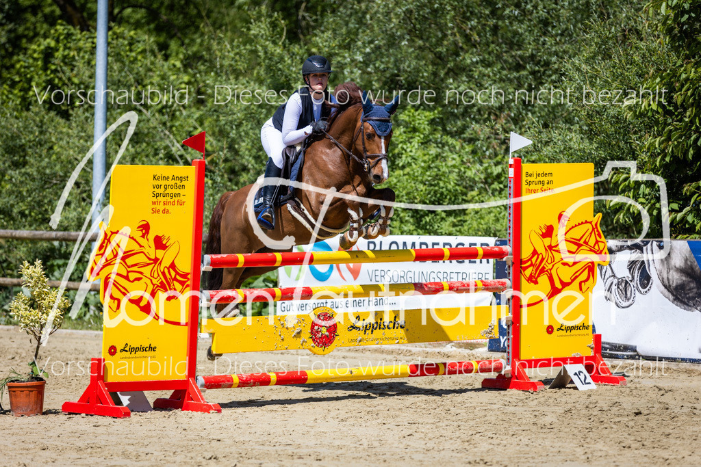 Donop24-Stil-L-070 | MomenTaufnahmen Pferdesportfotos