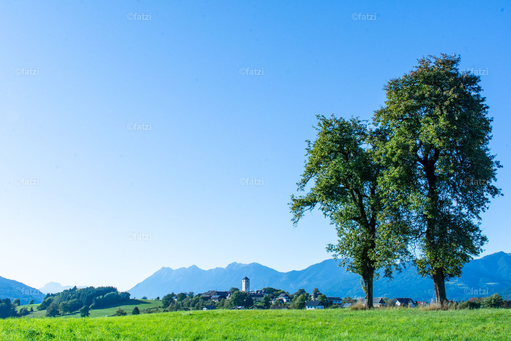 Dobr Panorama 2025 (Hohenthurn)_172043__fatzi | Fatzi Bilder-Archiv! 
Die Bilder sind für private Nutzung lizenzfrei. Die kommerzielle Nutzung ist möglich und erwünscht, jedoch bitte ich um vorherige Kontaktaufnahme per E-Mail (info@fatzi.at) oder unter +43 650 7828269 - Realisiert mit Pictrs.com