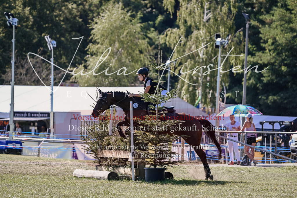 DSC_3299 | Pferde- und Turnierfotografie in Westsachsen. Pferdeportraits, Auftragszeichnungen und intuitive Kunst.