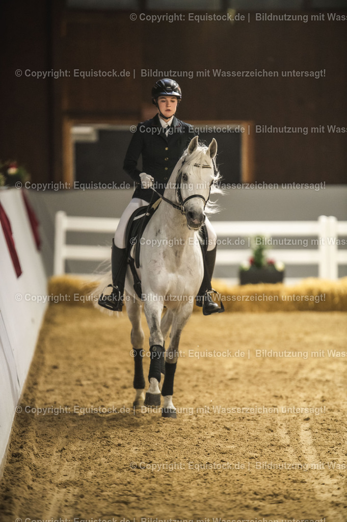20240302_Hengstvorstellung_Marbach_TOMsPiC_1043-2 | equistock