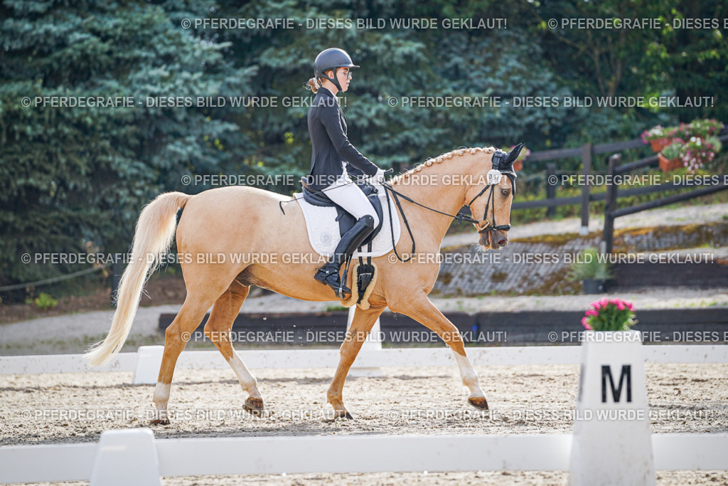 DSC00842 | Pferdegrafie