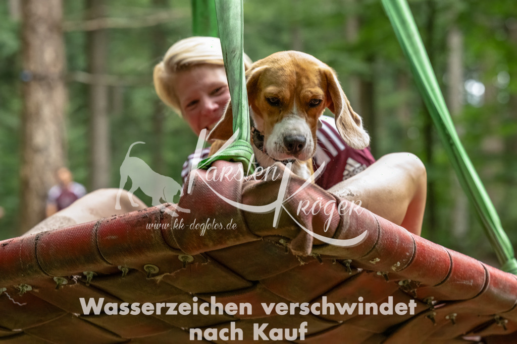 1154_ZZ91001-Bearbeitet | kk-dogfotos