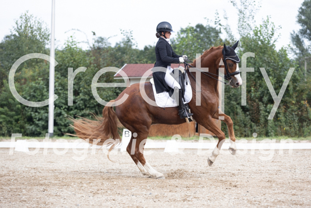 IMG_4790 | Creatify Fotografie