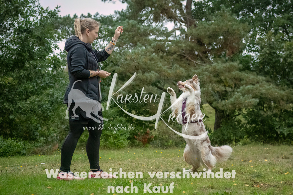 0925_ZZ90352-Bearbeitet | kk-dogfotos