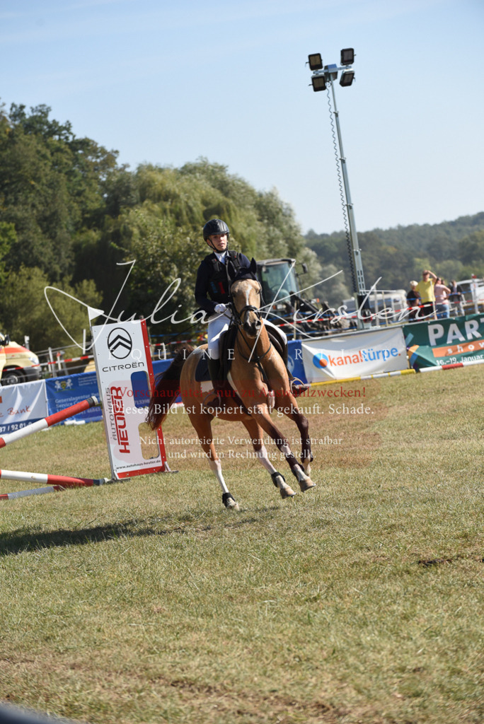 DSC_5983 | Pferde- und Turnierfotografie in Westsachsen. Pferdeportraits, Auftragszeichnungen und intuitive Kunst.