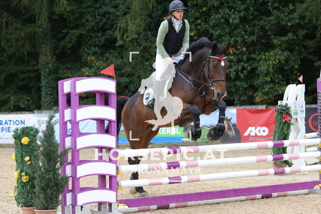 0P6A5775 | Willkommen bei Brunnmayr - Design & Fotografie – Ihrem Spezialisten für Reitturniere und Pferdeveranstaltungen in Oberösterreich, Salzburg und Bayern! Seit über 17 Jahren sind wir leidenschaftlich dabei.