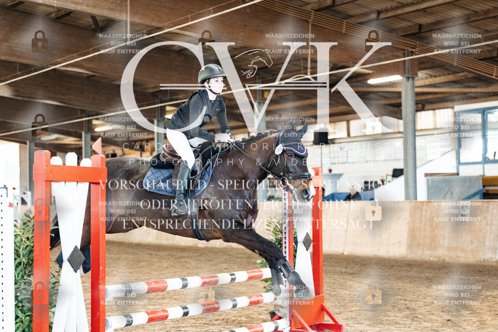 CK903791 | Turnierfotografie Pferdefotografie Trier Rheinland-Pfalz Pferdesport Reitsport Tierfotografie Sportfotografie Pferdevideo Pferdevideografie Equestrianvideography equestrianphotography  - Realized with Pictrs.com