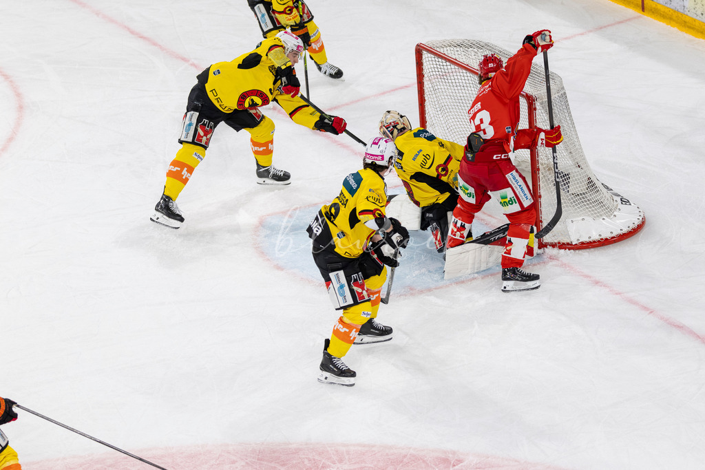 EHCB vs SCB 20260312_wb-4080 | Sportbilder, Sportfotograf, Hochzeits- und Eventfotografin, Flugshows, Portraits und Tiershooting, Aviation, Downhill, Nationalleague, Swissleague, International