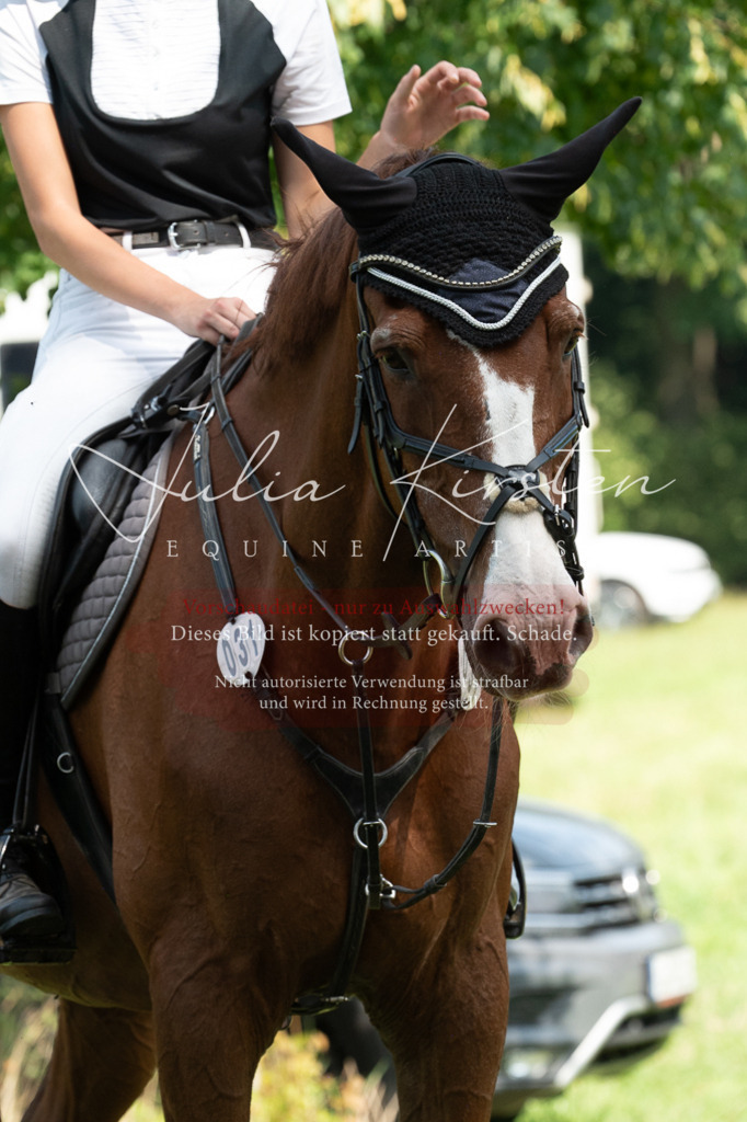 DSC_0670 | Pferde- und Turnierfotografie in Westsachsen. Pferdeportraits, Auftragszeichnungen und intuitive Kunst.