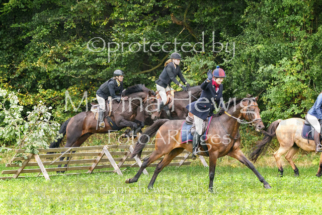 Jagd Perdoel_MarinaHewigMCH04493 | Fotografie, FotoArt, PferdesportArt, Pferdesportfotografie, Landschaftsfotografie, Reisefotografie, Reise, Pferde - Realisiert mit Pictrs.com