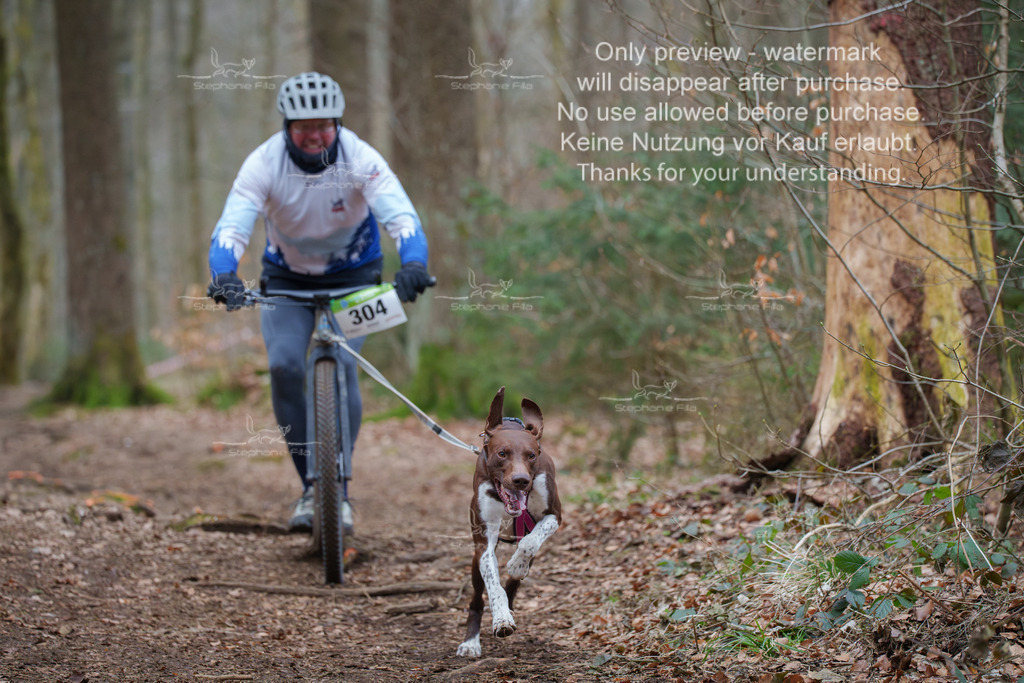 Scooter_So-42 | stephaniefillaphotographie - Realisiert mit Pictrs.com
