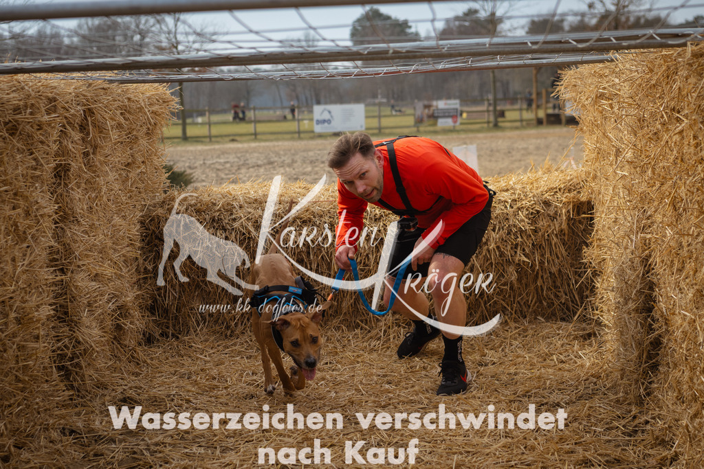 1102_ZZ91728 | kk-dogfotos