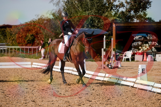 2026_10_03_Siefer-Hof_130419_Z63_66958895 | Professionelle Reitsport-, Turnier- und Eventfotografie von Robert Broda. Galerien mit ausgewählten und bearbeiteten Bildern direkt online ansehen und bestellen.