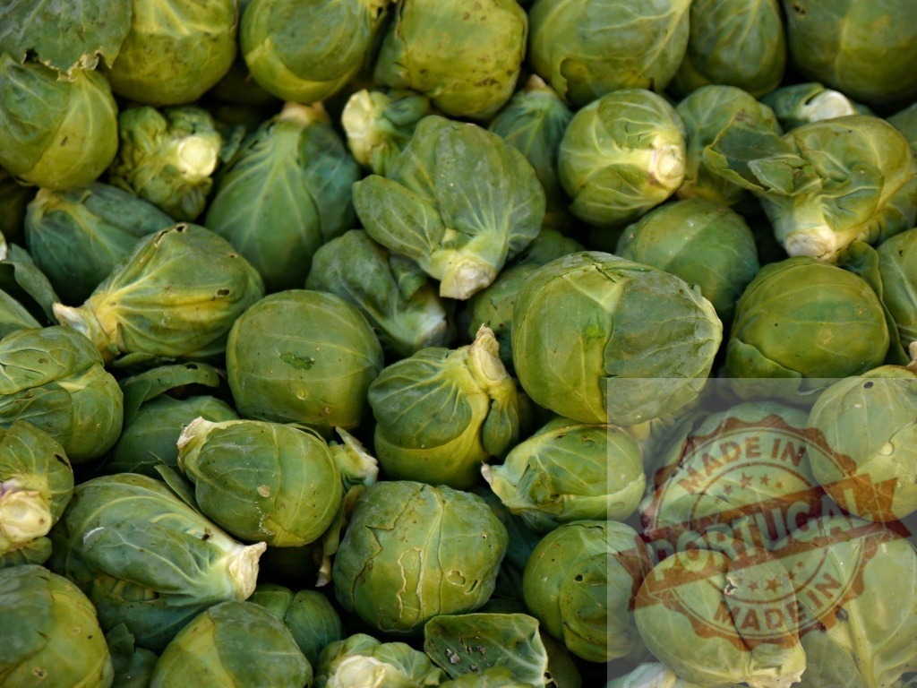 Fresh green raw Brussels sprouts harvest background | Freshly picked Brussels sprouts showing healthy organic produce for cooking - Realized with Pictrs.com