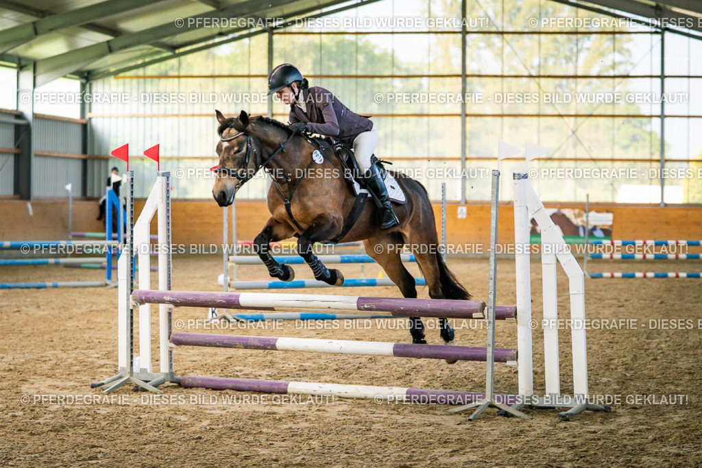 DSC00587 | Pferdegrafie