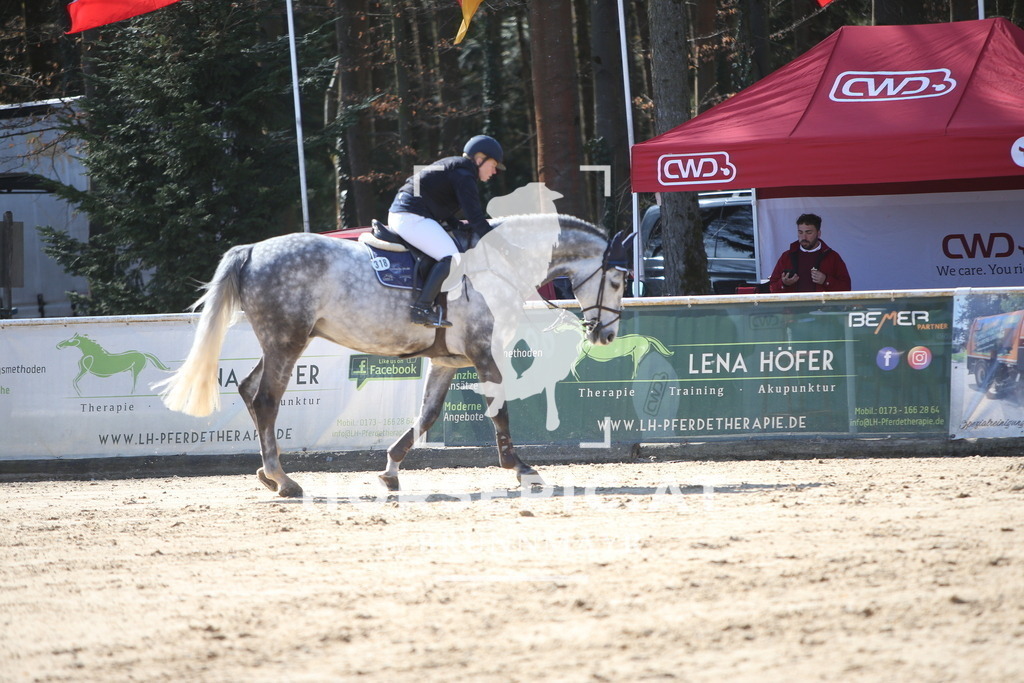 AS8V6103 | Willkommen bei Brunnmayr - Design & Fotografie – Ihrem Spezialisten für Reitturniere und Pferdeveranstaltungen in Oberösterreich, Salzburg und Bayern! Seit über 17 Jahren sind wir leidenschaftlich dabei.