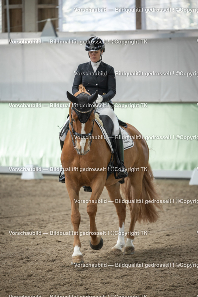 _D5A5068 | Emotionale Pferde- & People-Fotografie rund um Heidelberg, Leimen & Umgebung. Natürliche Fotos von Pferd, Mensch & Familie. Jetzt Termin sichern!