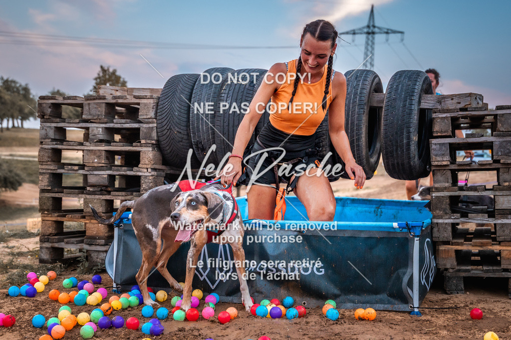 nelerasche_SummerNights26-Sa2000-2100_162 | nelerasche