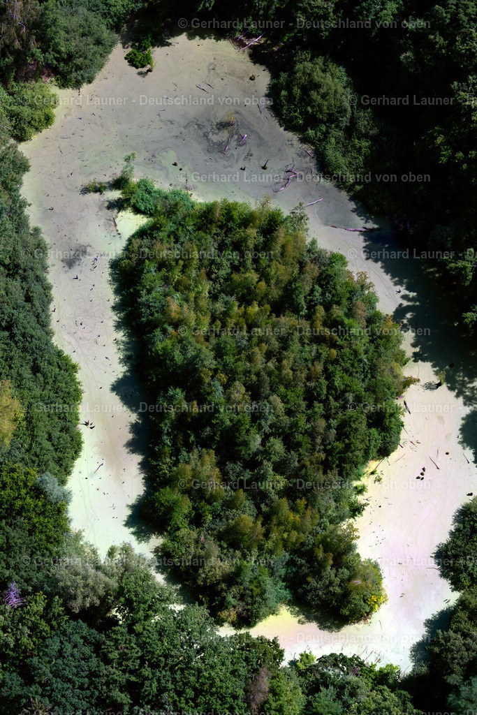 4035612 | BRAUNSCHWEIG 31.07.2020 Waldgebiete am Ufer des See " Bullenteich " an der Straße Doweseeweg im Ortsteil Siegfriedviertel in Braunschweig im Bundesland Niedersachsen, Deutschland. // Forests on the shores of Lake " Bullenteich " on street Doweseeweg in the district Siegfriedviertel in Brunswick in the state Lower Saxony, Germany. Foto: Gerhard Launer