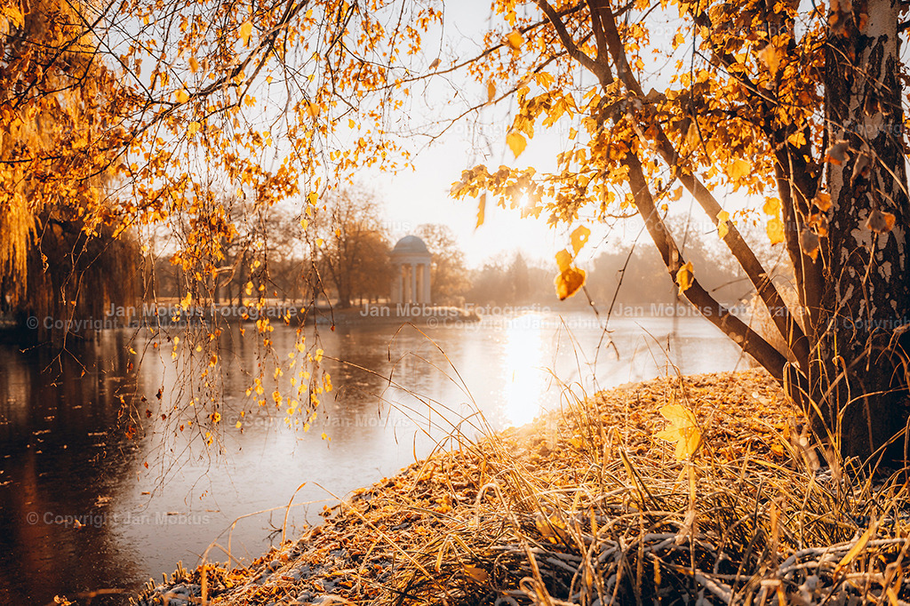 agra-Park | Leipzig Wandbilder Drucke Prints Leinwand Stadtmotive Leipzig Fotosdruck Kunstdrucke Bilder Leipzig Stadtansichten Acrylglasbilder Leipzig Wanddeko Fine Art Prints Wandbilder Büro Leipzig Bilder Praxis Zuhause Bilderdruck Poster Posterlounge Kunstdrucke - Realisiert mit Pictrs.com