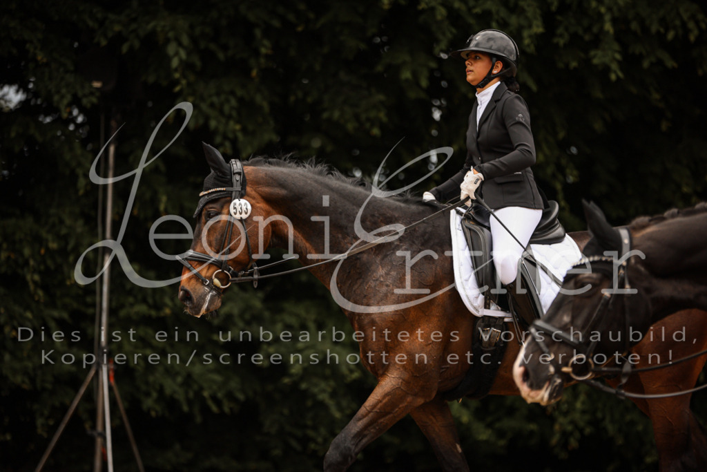 DoDrE00172 | Leoni Ertmer Photography - Realisiert mit Pictrs.com