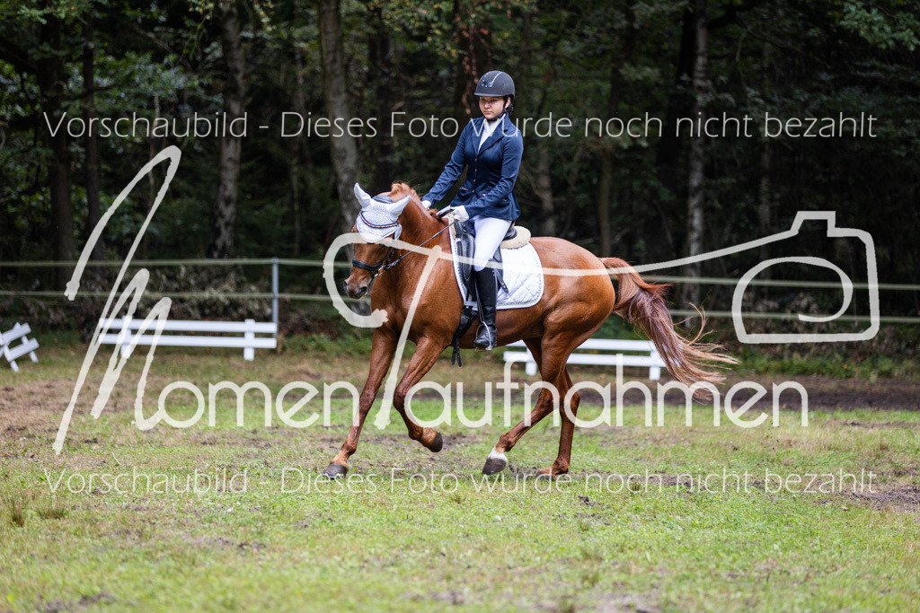 HB-Dressur-WB-072 | MomenTaufnahmen Pferdesportfotos