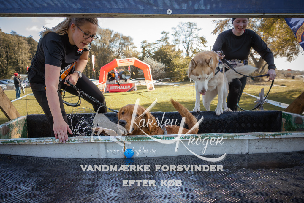 1229_ZZ96615-2 | kk-dogfotos