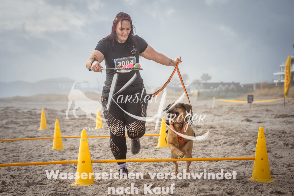 1138_ZZ99754 | kk-dogfotos