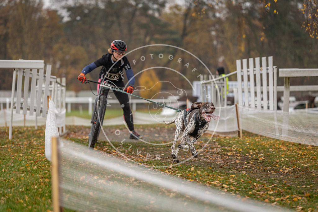 CaniXpix_DV3A8525 | Hundefotografie, Tierfotograf, Pfotenfotografie, Fotoshooting Hund, Hunde Portrait, Hundesport, Hundeportraits, Heideshooting, Hunde, Sportfotograf, Hundefotograf, Turnierhundsport, THS,  - Realisiert mit Pictrs.com