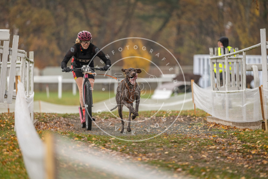 CaniXpix_DV3A8316 | Hundefotografie, Tierfotograf, Pfotenfotografie, Fotoshooting Hund, Hunde Portrait, Hundesport, Hundeportraits, Heideshooting, Hunde, Sportfotograf, Hundefotograf, Turnierhundsport, THS,  - Realisiert mit Pictrs.com