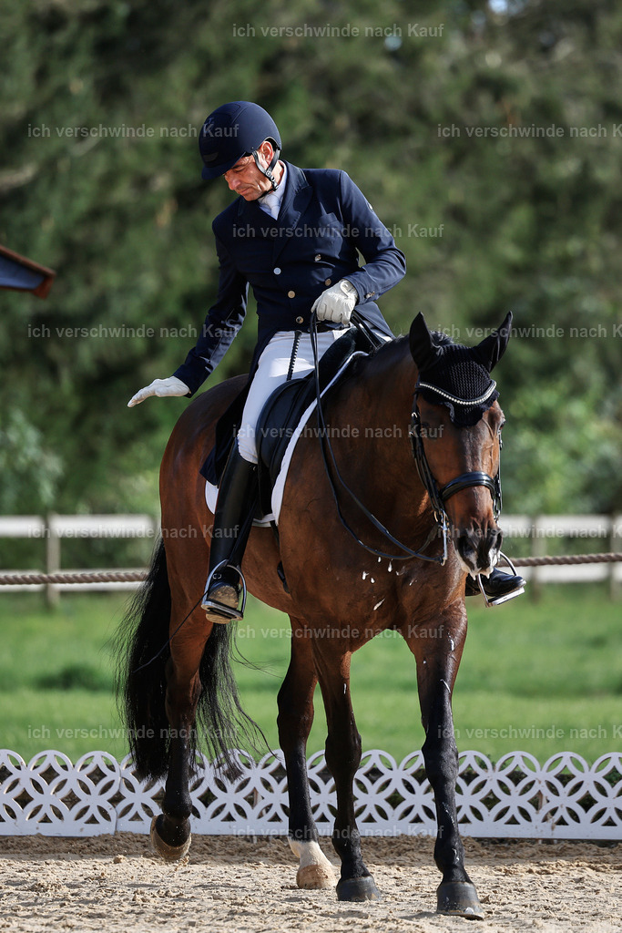 13-226-S___ -StoibPH-6929 | working equitationturnier fotograf videograf stoibphotography marixx film working equitation deutschland reitsport turnierfotografie eventfotografie equestrian events